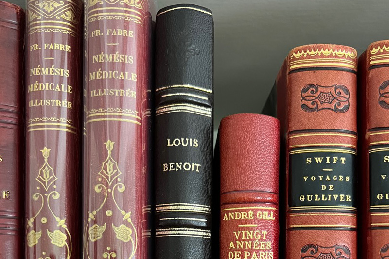 Detail of a row of books in fine bindings on a shelf. The books, with French titles, are by Francoise Fabre, Louis Benoit, André Gill, and Jonathan Swift.